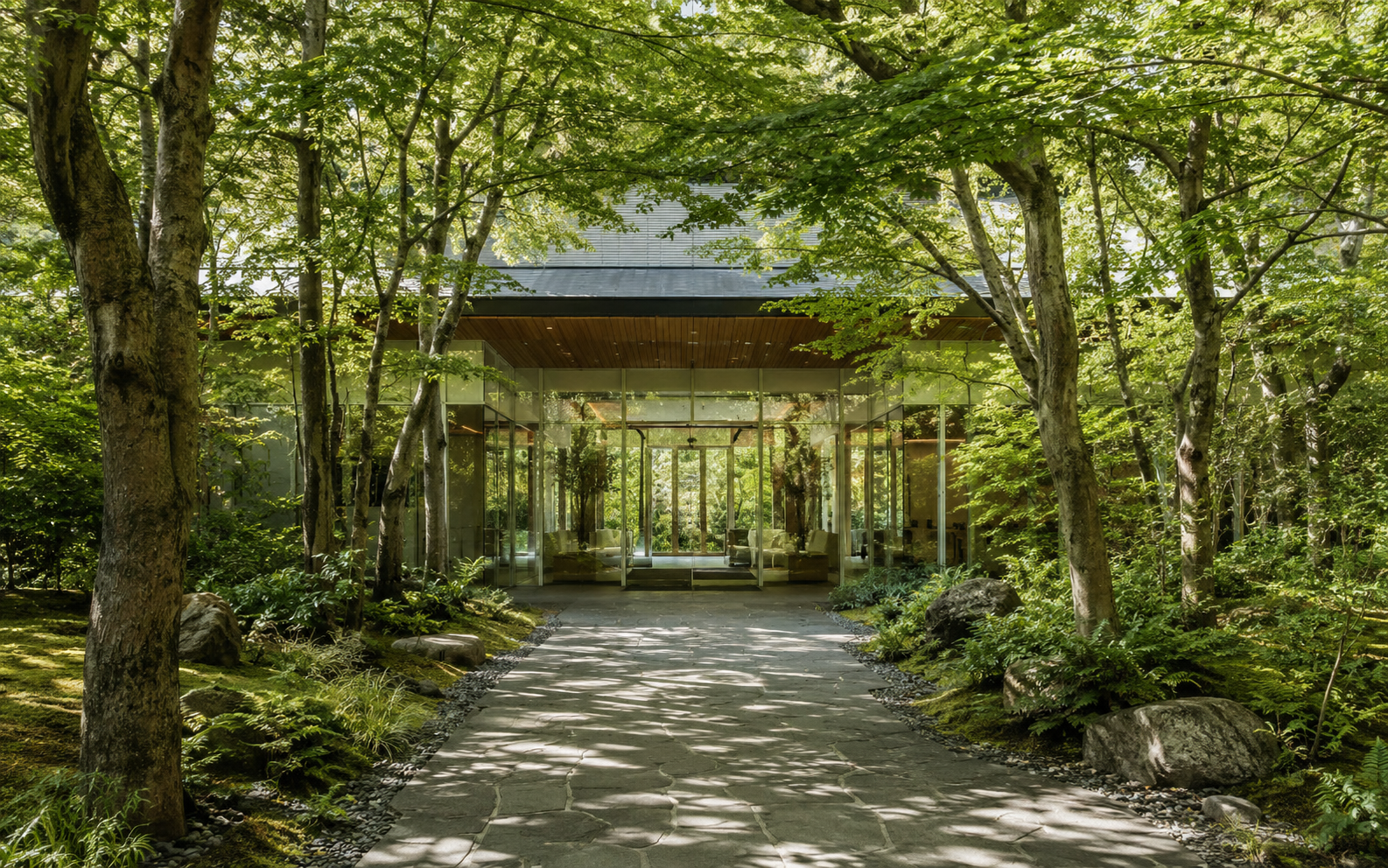 緑に包まれたアプローチから会場入口を望む風景